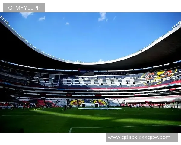 2026年世界杯场馆建设进展分析及未来展望